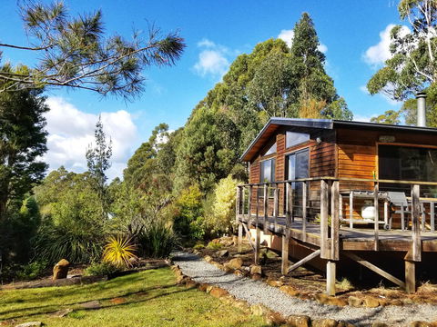 Southern Forest Accommodation - Sunshine Coast Guide 0