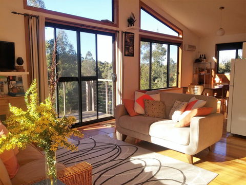 Southern Forest Accommodation - Sunshine Coast Guide 3