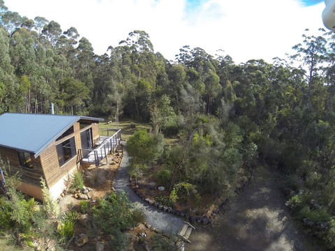 Southern Forest Accommodation - Sunshine Coast Guide 30