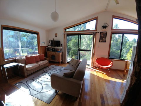 Southern Forest Accommodation - Sunshine Coast Guide 5