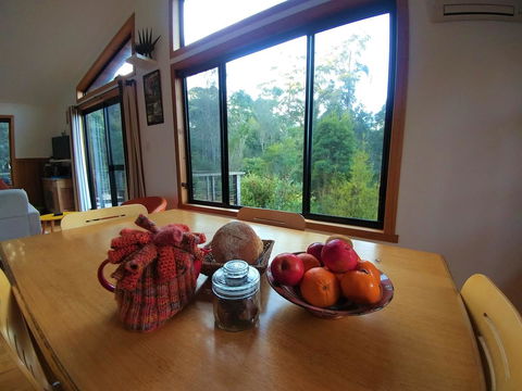 Southern Forest Accommodation - Sunshine Coast Guide 11