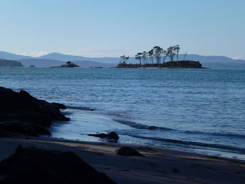 Southern Forest Accommodation - Sunshine Coast Guide 26