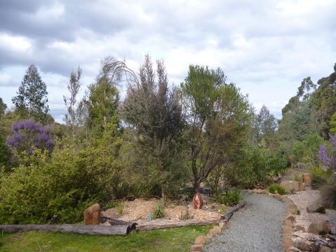 Southern Forest Accommodation - Sunshine Coast Guide 23