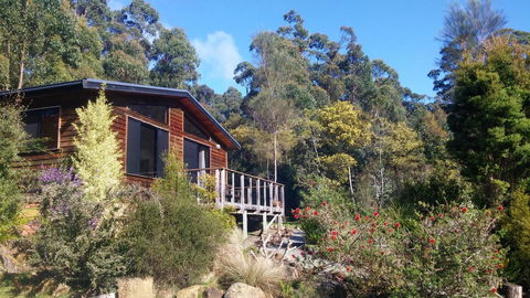 Southern Forest Accommodation - Sunshine Coast Guide 7