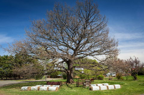 Ratho Farm - Sunshine Coast Guide 8