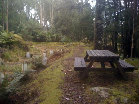 Sassafras Springs - Sunshine Coast Guide 9