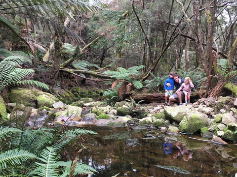 Derby Forest Cabins - Sunshine Coast Guide 17