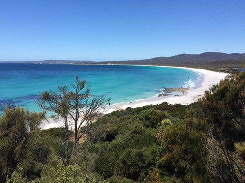 Holland House Bay Of Fires - Sunshine Coast Guide 15
