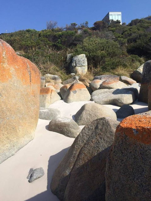Holland House Bay Of Fires - Sunshine Coast Guide 5