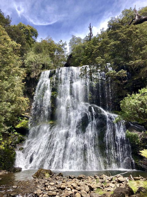 Lemonthyme Wilderness Retreat - Sunshine Coast Guide 9