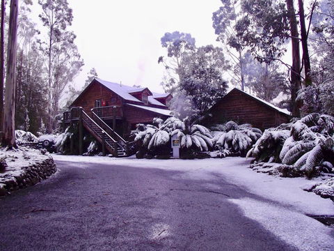 Lemonthyme Wilderness Retreat - Sunshine Coast Guide 12