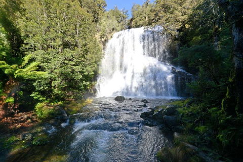 Lemonthyme Wilderness Retreat - Sunshine Coast Guide 19