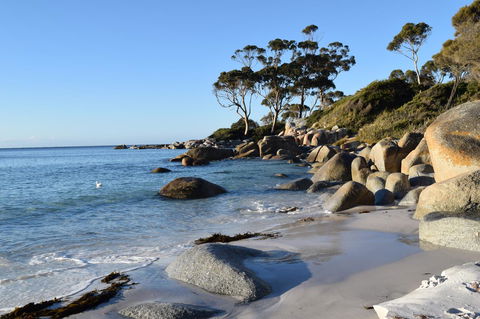 Anchor Wheel Motel - Sunshine Coast Guide 26