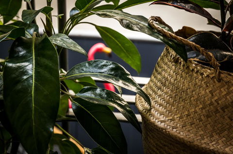 Alabama Hotel Hobart - Sunshine Coast Guide 25