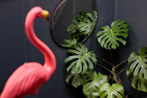 Alabama Hotel Hobart - Sunshine Coast Guide 15