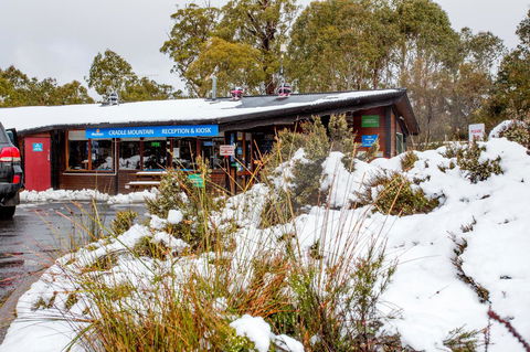 Discovery Parks - Cradle Mountain - Sunshine Coast Guide 29