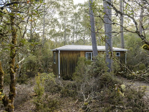 Discovery Parks - Cradle Mountain - Sunshine Coast Guide 18