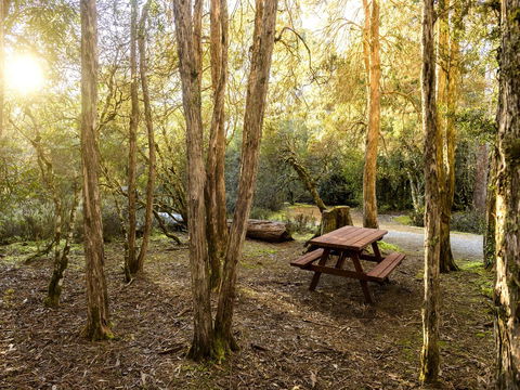 Discovery Parks - Cradle Mountain - Sunshine Coast Guide 19