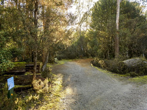 Discovery Parks - Cradle Mountain - Sunshine Coast Guide 1