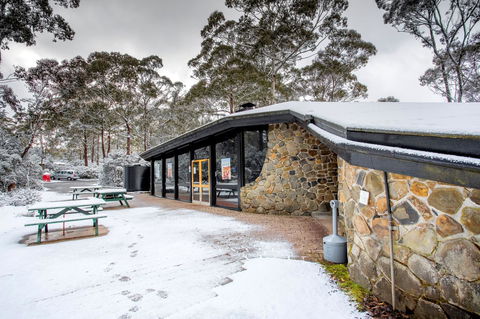 Discovery Parks - Cradle Mountain - Sunshine Coast Guide 0