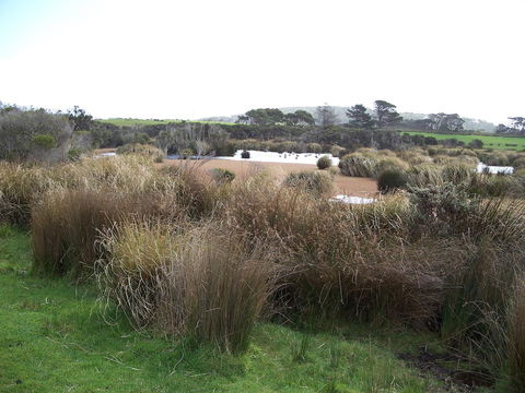 Cloudy Bay Beach House - Sunshine Coast Guide 24