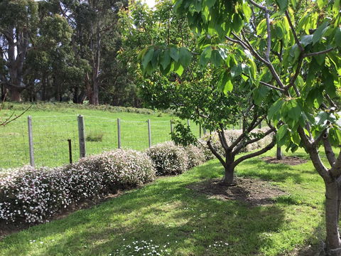 Nextdoor@portarthur - Sunshine Coast Guide 18
