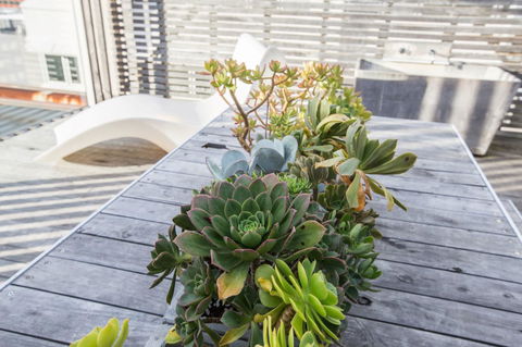Avalon City Retreat - Sunshine Coast Guide 5
