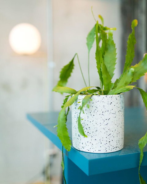 Sage Melbourne Ringwood - Sunshine Coast Guide 36