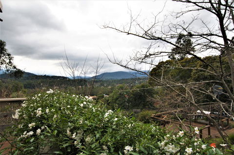 Hamptons In Healesville - Sunshine Coast Guide 13