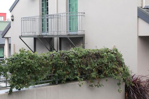 Quality Inn & Suites The Menzies - Sunshine Coast Guide 23