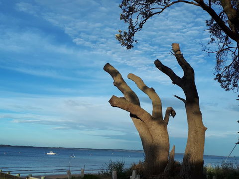 Apartments In Phillip Island Towers - Block C - Sunshine Coast Guide 10