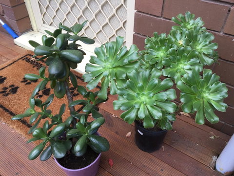 Doncaster Westfield Home Stay - Sunshine Coast Guide 23