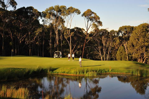 RACV Goldfields Resort - Sunshine Coast Guide 31