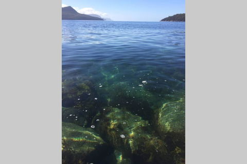 The Cove... On The Rocks At Port Arthur - Sunshine Coast Guide 3