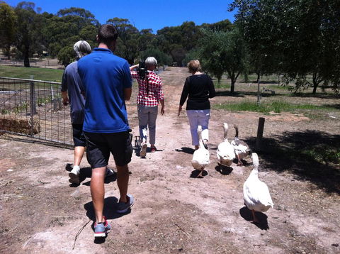 The Farm Willunga - Sunshine Coast Guide 1