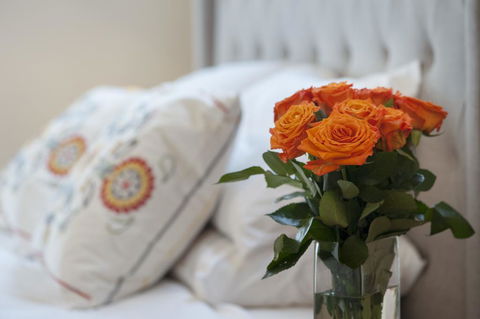 The Nest At Gundaroo - Sunshine Coast Guide 1