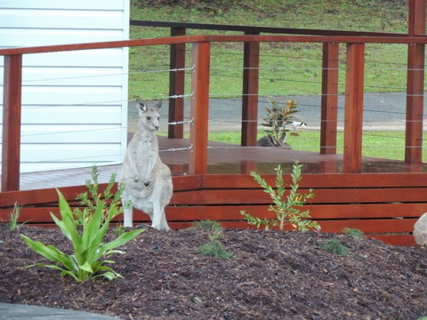 The Pouch B & B - Sunshine Coast Guide 1