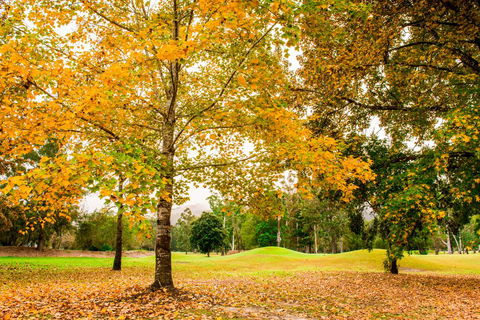 The Retreat At Wisemans - Sunshine Coast Guide 1