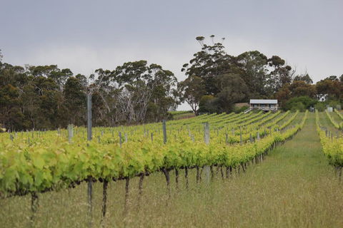 The Sleeping Lady Private Retreat - Sunshine Coast Guide 2