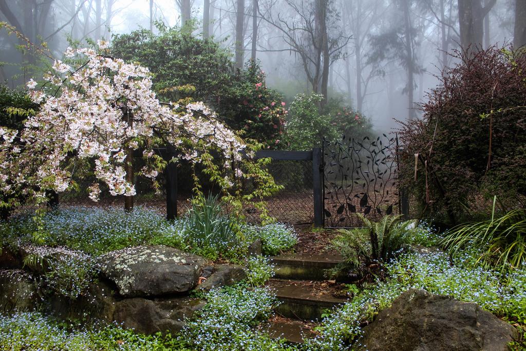 Mount Tomah NSW Sunshine Coast Guide