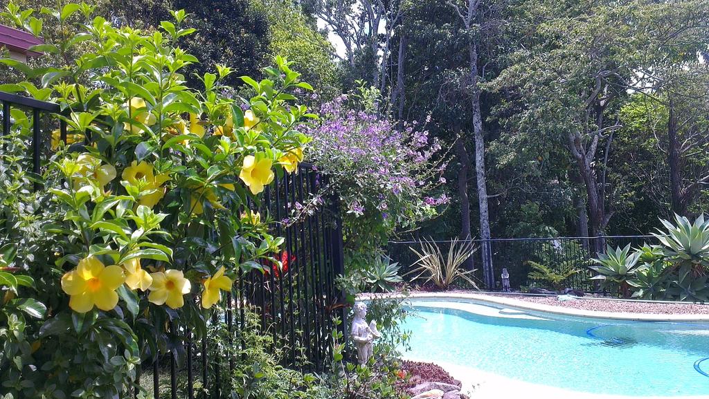 Duranbah NSW Sunshine Coast Guide