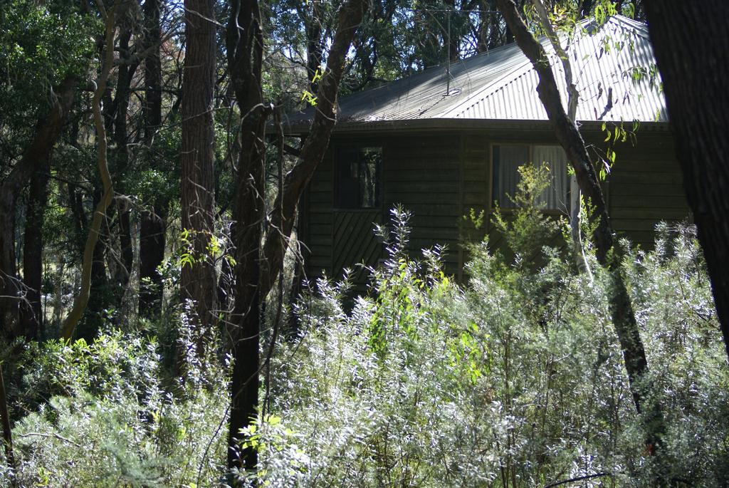 Fitzroy Falls NSW Sunshine Coast Guide