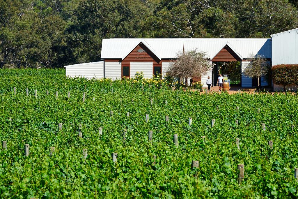 Baskerville WA Sunshine Coast Guide