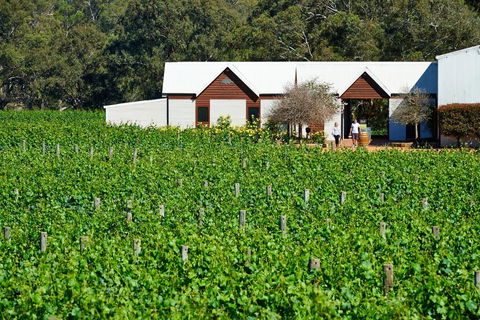 Upper Reach Spa Cottage - Sunshine Coast Guide 0
