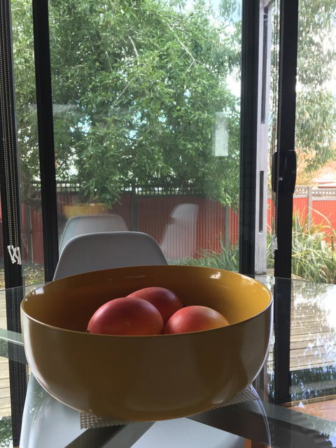 Daydream Cottage - Sunshine Coast Guide 19