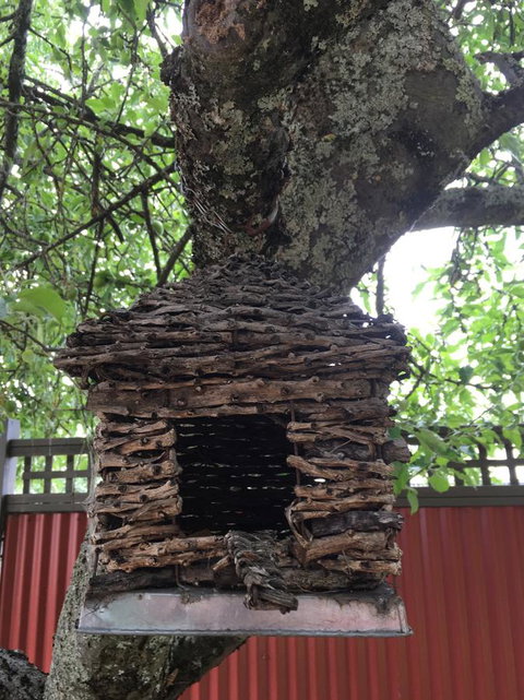 Daydream Cottage - Sunshine Coast Guide 18