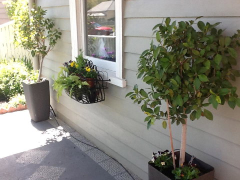 Redruth Cottage - Sunshine Coast Guide 19