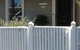 Redruth Cottage - thumb 22