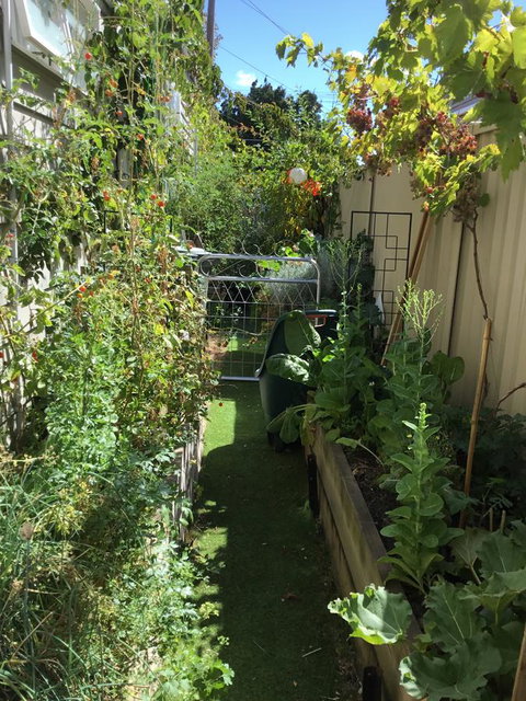 Redruth Cottage - Sunshine Coast Guide 7