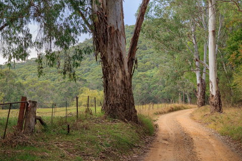 Alpine Aspects - Sunshine Coast Guide 10